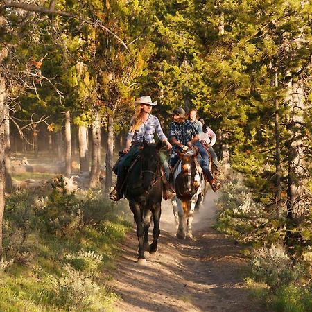 Headwaters Lodge & Cabins At Flagg Ranch Моран Экстерьер фото