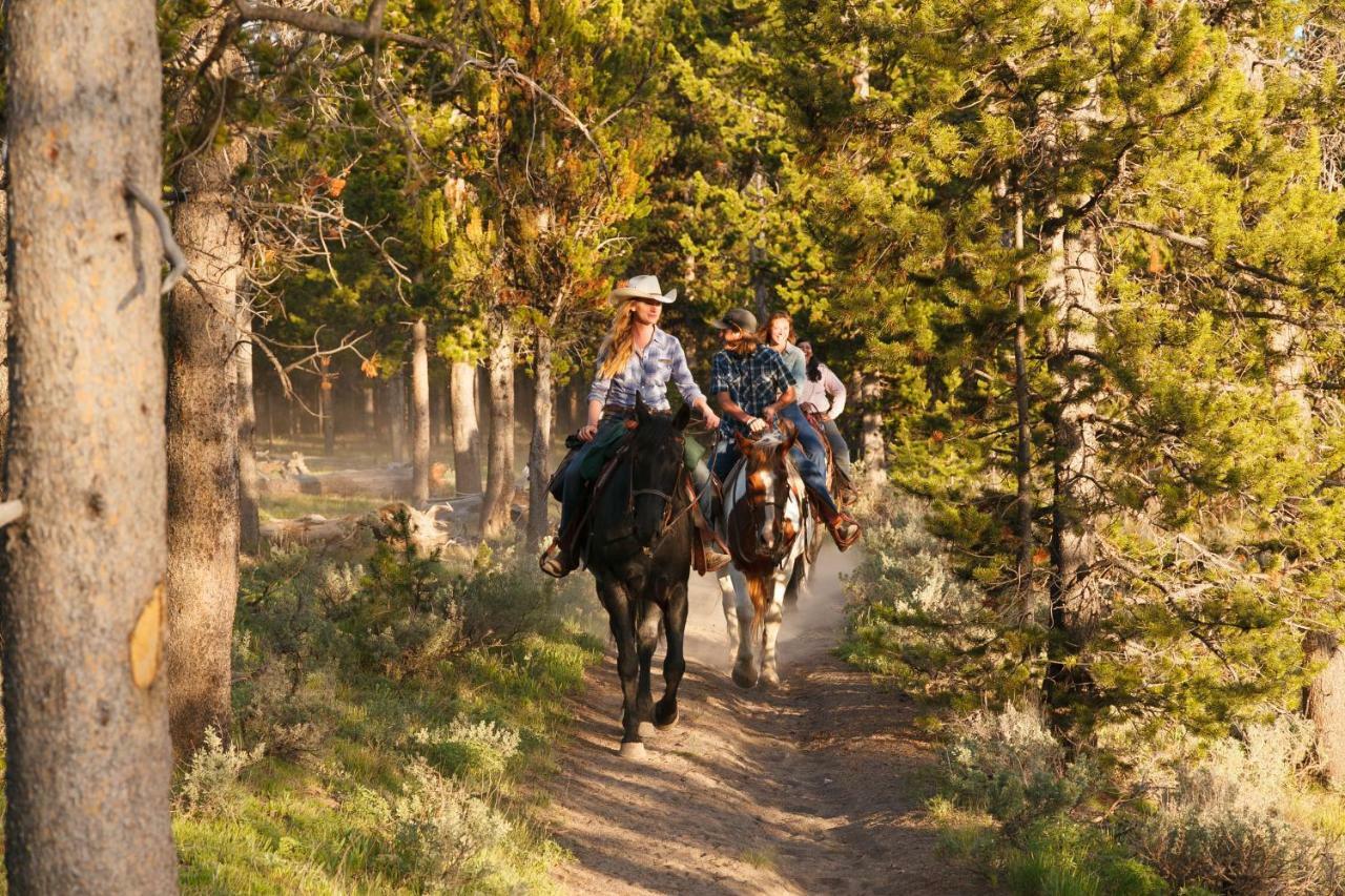 Headwaters Lodge & Cabins At Flagg Ranch Моран Экстерьер фото